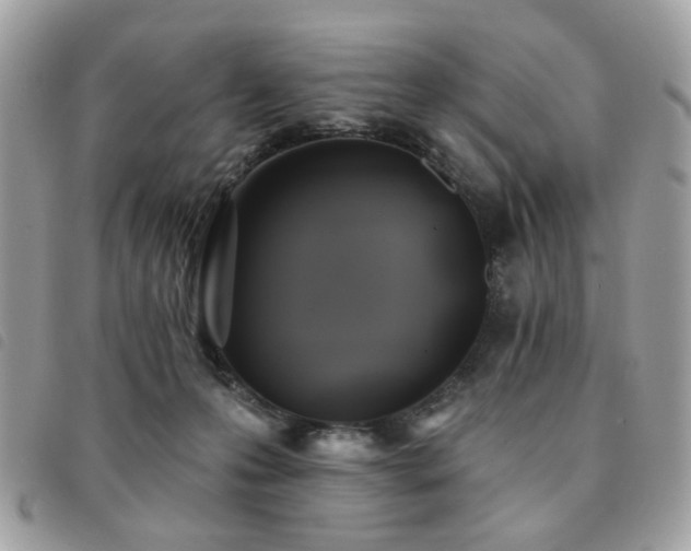 X0000091530223200708171228