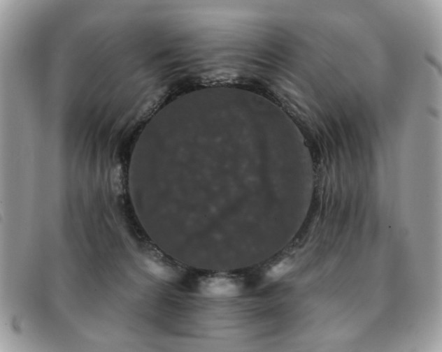 X0000091530224200708171228