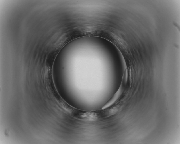 X0000091530225200708171228