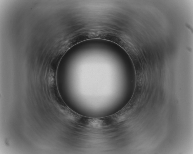 X0000091530226200708171228