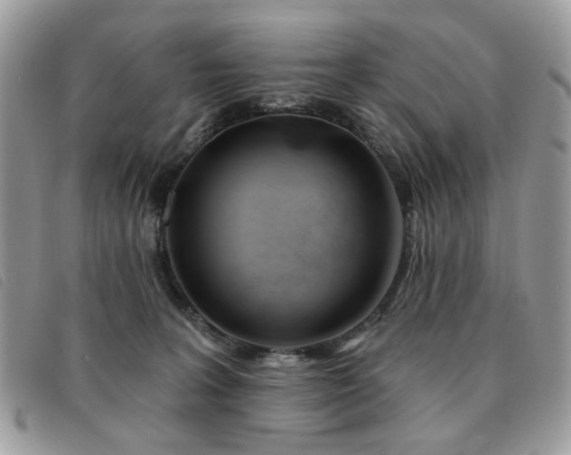 X0000091530227200708171228
