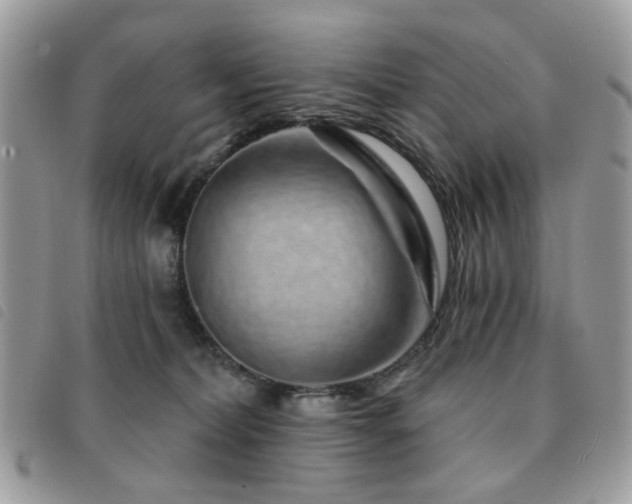 X0000091530228200708171228