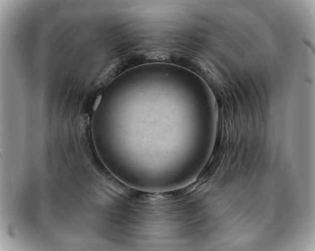 X0000091530229200708171228