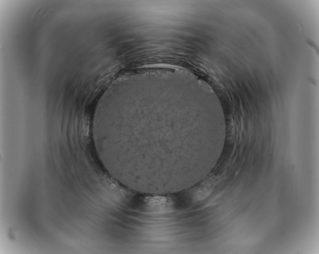 X0000091530230200708171228