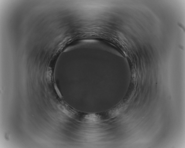 X0000091530231200708171228