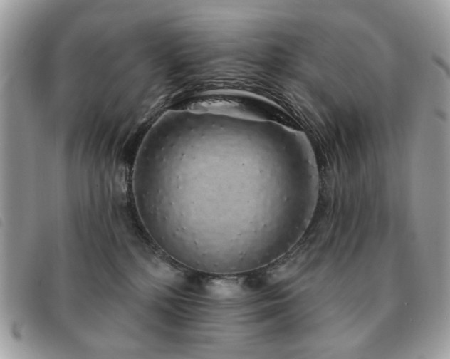X0000091530232200708171228