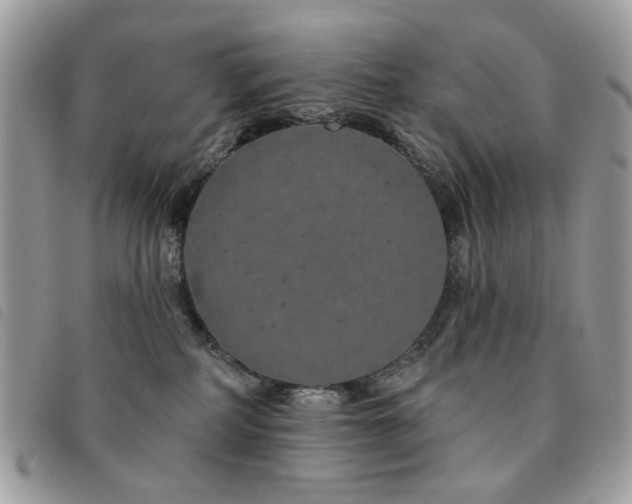 X0000091530234200708171228