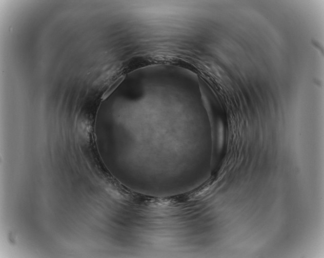 X0000091530235200708171227
