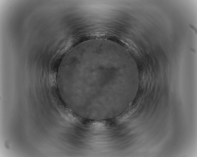 X0000091530236200708171227