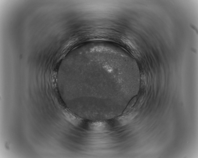 X0000091530237200708171227
