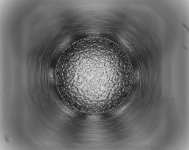 X0000091530238200708171227