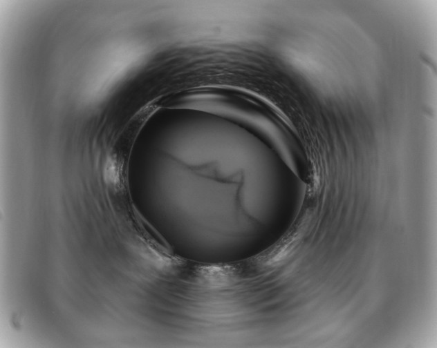 X0000091530239200708171227