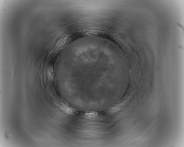 X0000091530240200708171227