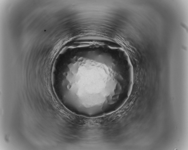 X0000091530241200708171227