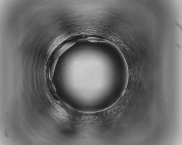 X0000091530242200708171227