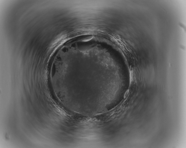 X0000091530243200708171227