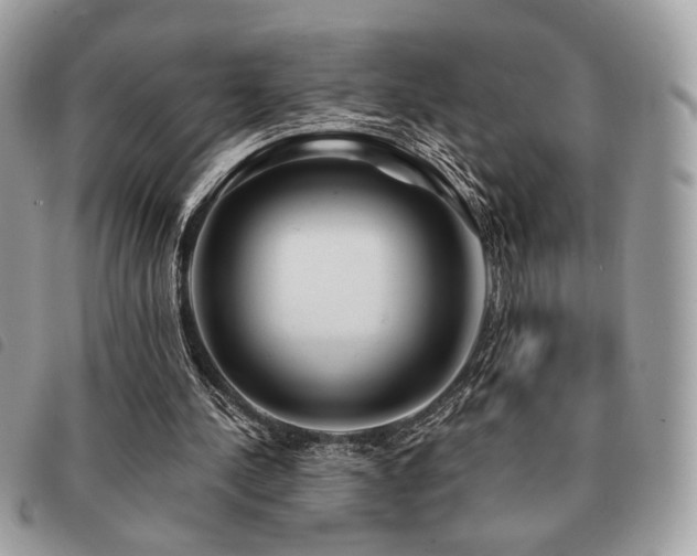 X0000091530244200708171227