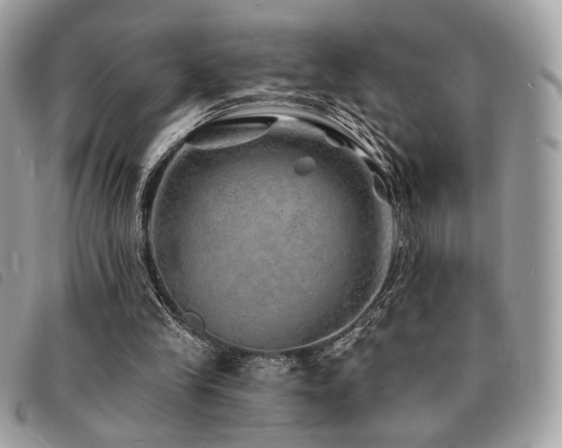 X0000091530245200708171227