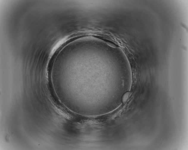 X0000091530246200708171227