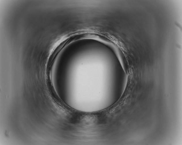 X0000091530248200708171227