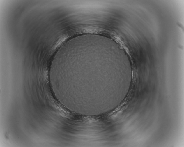 X0000091530249200708171227