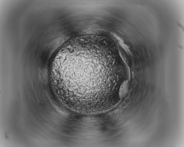 X0000091530250200708171227