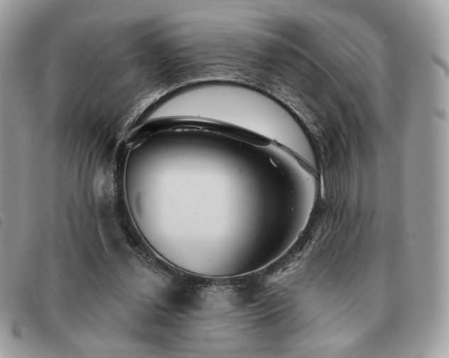X0000091530252200708171227