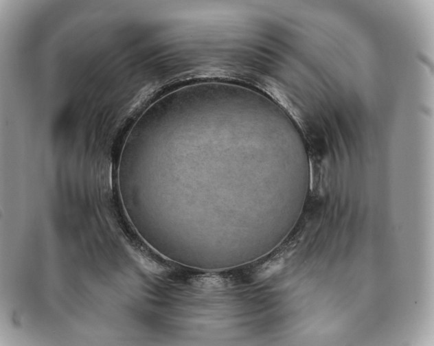 X0000091530253200708171227