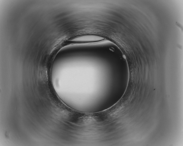 X0000091530254200708171227