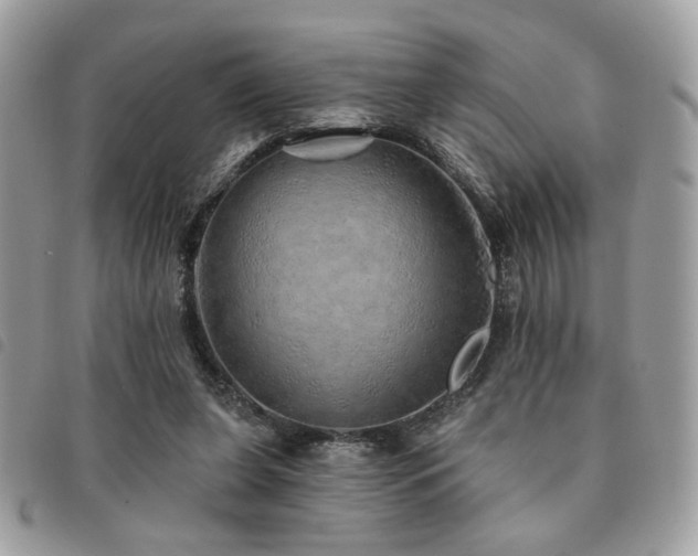 X0000091530255200708171227