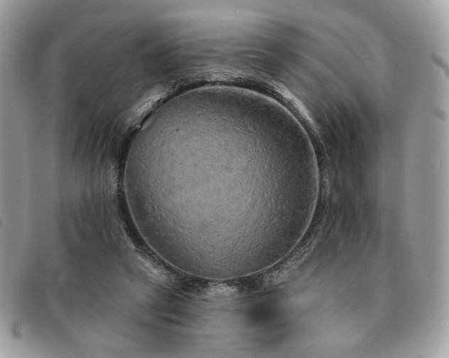 X0000091530257200708171227