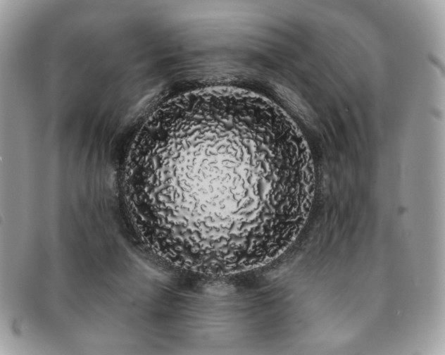 X0000091530258200708171227