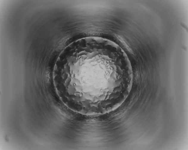 X0000091530259200708171227