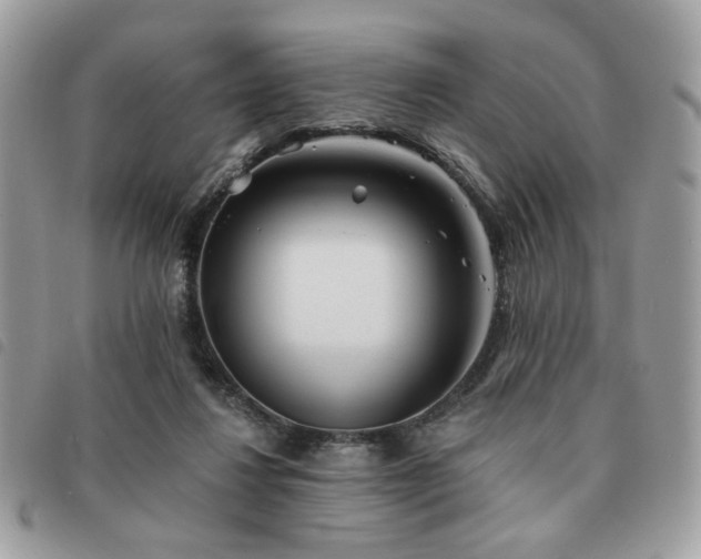 X0000091530260200708171227