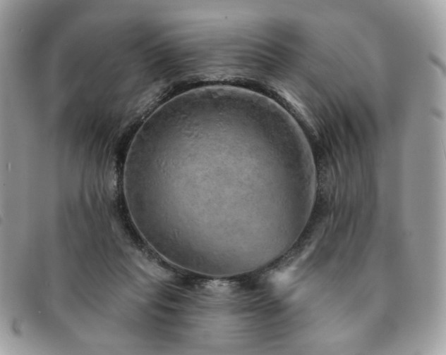 X0000091530261200708171227