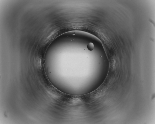 X0000091530262200708171227