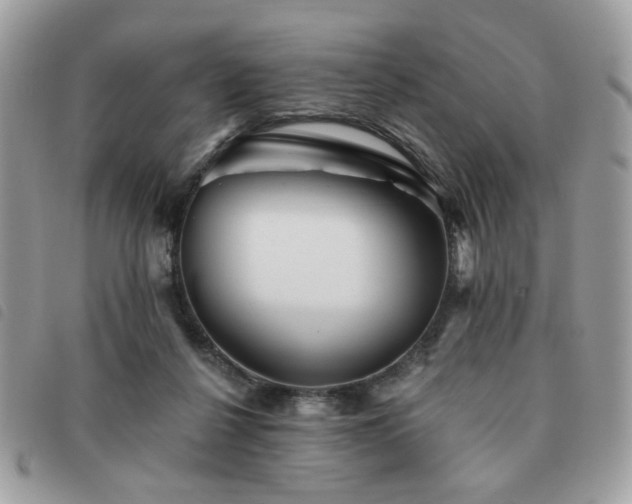 X0000091530264200708171227