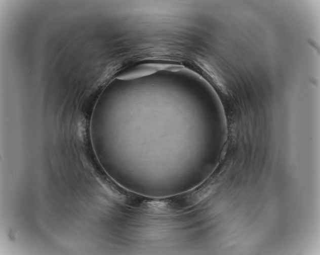 X0000091530265200708171227