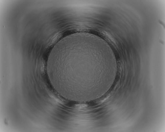 X0000091530266200708171227