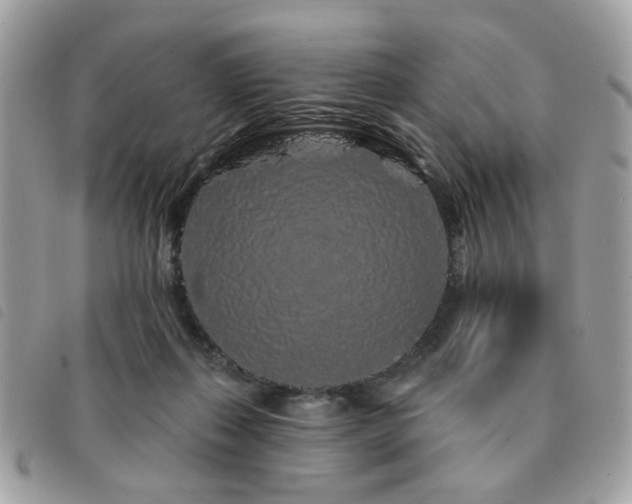 X0000091530267200708171227