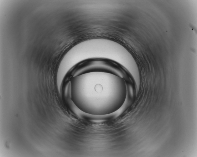 X0000091530268200708171227