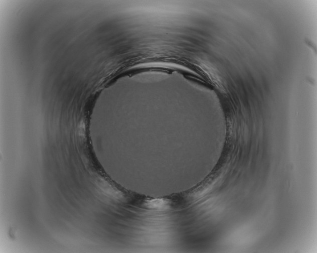 X0000091530269200708171227