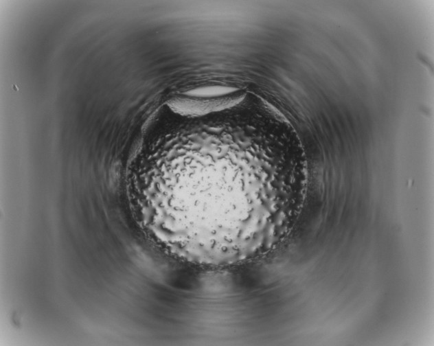 X0000091530271200708171227