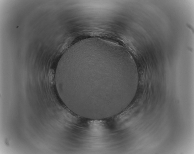 X0000091530273200708171227