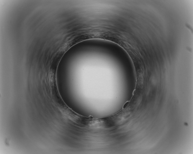 X0000091530274200708171227