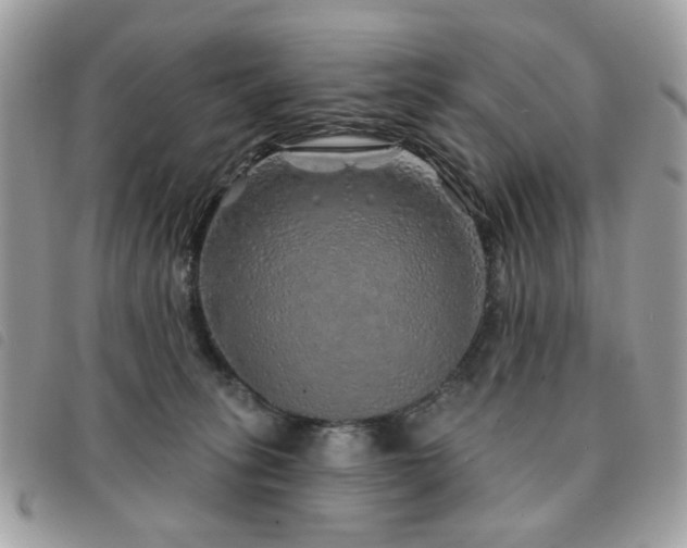 X0000091530275200708171227