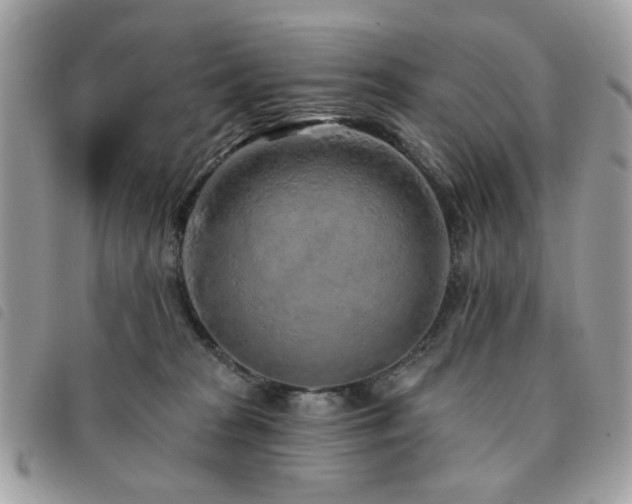 X0000091530277200708171227