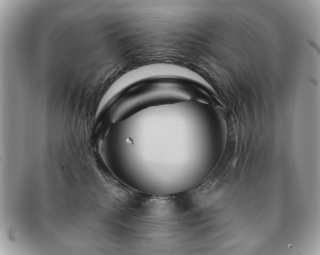 X0000091530280200708171227