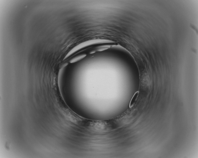 X0000091530282200708171227