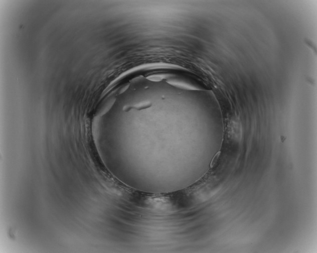 X0000091530283200708171227